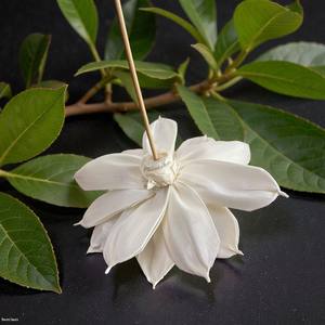 زهرة سولا خشبية مصنوعة يدويًا مستوحاة من زهرة الداليا، مقاس 15 سم، كبيرة الحجم، مصنوعة من ألياف نبات السيسبانيا - Product Image 4