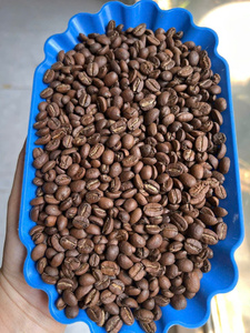 Premium Roasted <b>Coffee</b> <b>Beans</b> 100% Arabica High Quality Freshly Roasted Whole <b>Bean</b> <b>Coffee</b> for Wholesale from Vietnam - Product Image 3