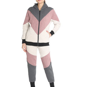 Conjunto Deportivo de 2 Piezas para Mujer, Talla Grande, Informal, Transpirable, con Capucha, para Entrenamiento, Invierno, Estilo Urbano, Venta al Por Mayor - Product Image 5