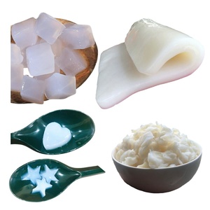 Feuilles de gelée de noix de coco blanches en gros, en forme de cœur et d'étoile, garniture premium pour desserts et boissons, prix direct usine, échantillon gratuit - Product Image 1