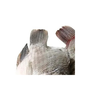 Tilapia entera congelada IQF fresca, precio mayorista, muy vendida. - Product Image 1