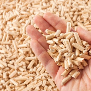 Suministro de Energía Renovable de Biomasa Limpia por XINTHAI con Pellets de Madera de Caucho de Alta Densidad y Estabilidad de Primera Calidad de Tailandia - Product Image 6