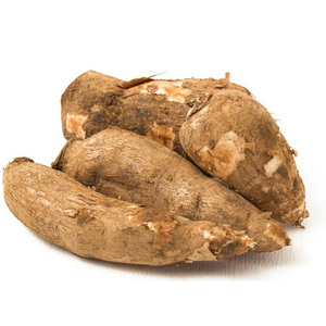 มันสำปะหลังแช่แข็งปอกเปลือกที่มีคุณภาพสูงและราคาที่ดีที่สุด - Product Image 5