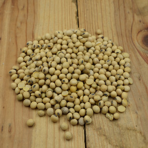Clean And Natural <b>Soybean</b> Seed For Farming And Oil Processing With Premium <b>Soybean</b> Seed Packed For Export Buyers - Product Image 4