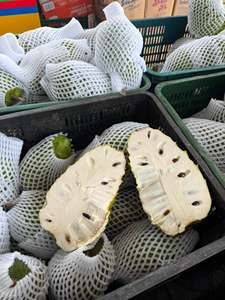 IQF Frozen Tropical Soursop Pulp Bulk Supply from Vietnam - Product Image 1