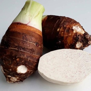 Taro Congelado de Alta Calidad Procesado por IQF para la Elaboración de Bolas de Taro y Pudines, Empaque a Granel de 25 kg, Precio de Fábrica - Product Image 4