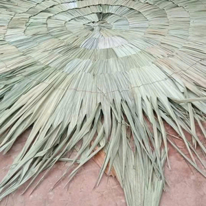 Sombrilla Plegable de Palma de Vietnam de 1.8m, 2.1m, 2.6m para Fiestas al Estilo Hawaiano y Eventos en el Patio Trasero por 99 Gold Data - Product Image 6