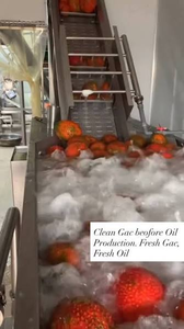 Proveedor al por Mayor de Aceite de Gac Prensado en Frío para la Industria Alimentaria, Botella de 1000 ml, Precio Competitivo - Product Image 2