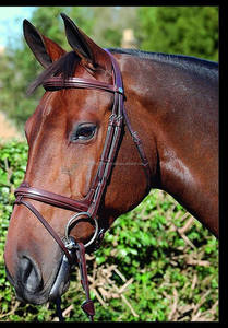 บังเหียนม้าอเนกประสงค์แบบมีเบาะหนังสีน้ำตาลพร้อมสายบังเหียน - Product Image 4