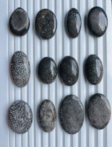 Coral Fósil Negro Natural de Grado AAA, Cabujón de Piedra Preciosa Suelta, Lote Surtido de Formas Mixtas Hechas a Mano para la Fabricación de Joyas - Product Image 3