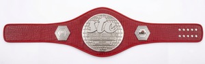 Wholesale Custom Wrestling Championship Belts Manufacturer For Heavy <b>Weight</b> Lifting with Pure Leather and Zinc Alloy Plates - Product Image 3