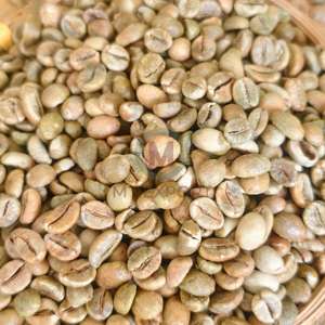 Café Vert à Faible Taux de Brisure, Matière Première en Gros pour Torréfaction, Qualité Supérieure Certifiée ISO, Provenant de Ferme Vietnamienne - Product Image 6