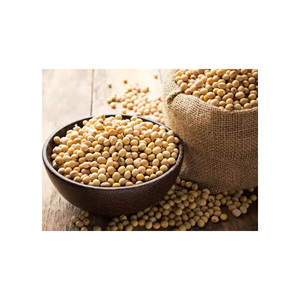 Non-GMO Export Grade Yellow Soybean / Premium Quality Soya <b>Beans</b> for Soybean Importers - Product Image 4