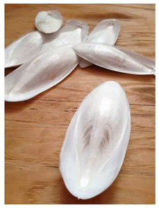 Os de Seiche Entiers Séchés Naturels Faible Teneur en Sel Riche en Protéines Marines du Vietnam Qualité Supérieure pour Grignotage des Oiseaux 10-20cm Lot en Vrac - Product Image 1