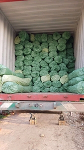 Fabricant vietnamien de fibres naturelles de jonc de mer séchées pour l'artisanat et le tissage, fournisseur en gros, exportateur - Product Image 5