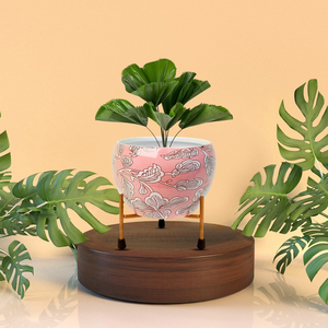 Maceta de Metal con Soporte de Hierro, Color Durazno, Decorativa, para Plantas de Interior, para Hogar, Jardín, Sala de Estar, Dormitorio, Oficina - Product Image 3