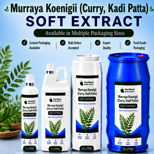 สารสกัดใบกระเพรา (Murraya Koenigii) วัตถุดิบสำหรับผลิตภัณฑ์เครื่องสำอางจากพืช โครงการสูตรผลิตภัณฑ์ดูแลผิว - Product Image 1