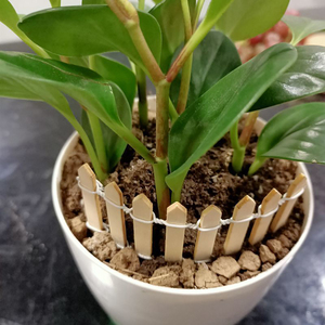 <span class=keywords><strong>Recinzione</strong></span> in Legno Flessibile Miniatura Fai-da-Te per Decorazione Giardino delle Fate, <span class=keywords><strong>Recinzione</strong></span> in Miniatura per Vasi di Piante Succulente - Product Image 5