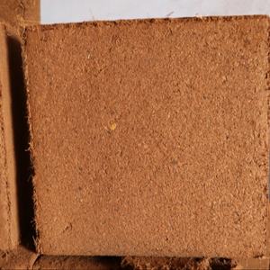 Coco peat de qualité supérieure indien, bloc de 5 kg - Anti-fongique / Substrat idéal pour la culture des plantes / Fabricant et exportateur. - Product Image 3