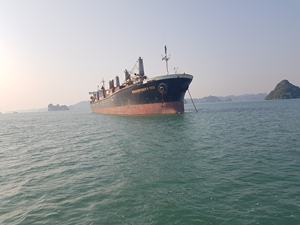 Cemento a granel de fábrica de Vietnam ideal para grandes proyectos, envío de embarcaciones para construcción de agua salada - Product Image 3