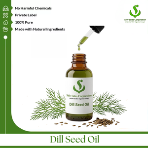 Mayorista de Aceite de Semillas de Diente de Hinojo de Alta Calidad que Ofrece Suministro de Aceite Esencial Premium a Granel para Distribuidores e Importadores Internacionales - Product Image 1