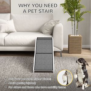 Attrezzature per Addestramento Animali: Rampa e Altalena per l'Agilità del Tuo Amico a Quattro Zampe - Product Image 4