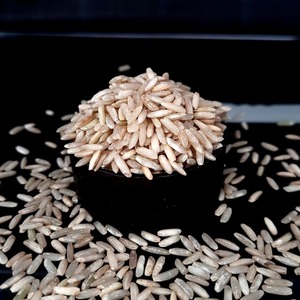 Arroz Premium para Exportación: Arroz Basmati 100% Puro de Grano Largo y Duro para Compradores al por Mayor con Bolsas al Vacío y Calidad Aromática - Product Image 1