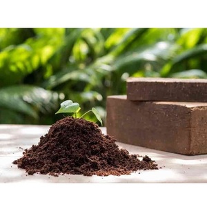 Tourbe de coco écologique pour paillage, rétention d'humidité et production agricole durable, disponible à un prix compétitif en provenance d'Inde - Product Image 6