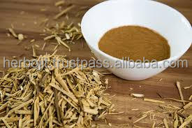 Yerba Mate สารสกัดจากสมุนไพรผงอาหารเสริมกระตุ้นความตื่นตัวมีประสิทธิภาพการสนับสนุนภูมิคุ้มกันและประโยชน์ของสารต้านอนุมูลอิสระ - Product Image 2