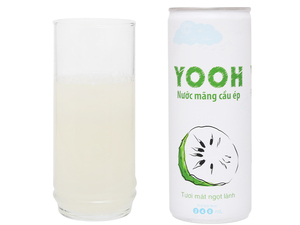 Jus de mangue purée aromatisé frais en canette 240ml 330ml, vente en gros, marque privée, fabricant d'usine du Vietnam, best-seller - Product Image 2