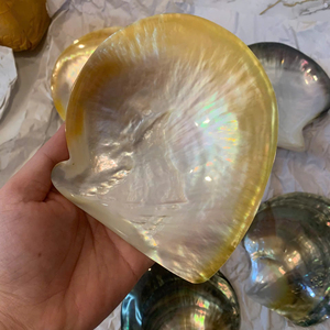 Plato de Lujo de Nácar Amarillo, Pulido por Ambas Caras, Concha Natural Artesanal de Vietnam, Plato Decorativo Premium para Exportación - Product Image 3