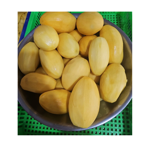 Cubos de Mango IQF, Fruta Natural Congelada, Ingrediente para Snacks, Fabricante de Vietnam - Product Image 2