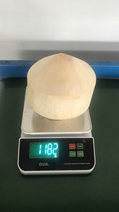 Noix de coco vietnamienne taillée au diamant de qualité supérieure avec eau douce pure prête à servir emballée pour l'exportation, vente en gros et vente au détail - Product Image 2