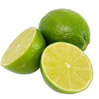Vietnamese biologische verse groene limoenen, pitloos, voor gebruik in voedsel & dranken, 2-3 weken houdbaarheid, exportverpakking, A-kwaliteit.