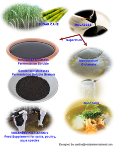 VEDAFEED CMS-GRANULE Granulés de qualité supérieure pour l'alimentation animale (molasses concentrée soluble) pour porcs, bovins, poissons, chevaux, chiens - Product Image 2