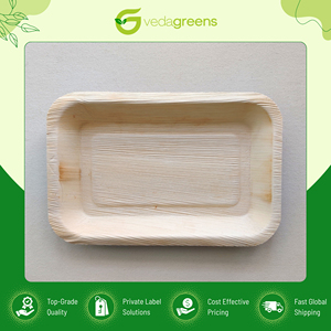 Assiettes rectangulaires jetables en fibre de palmier Areca, qualité éprouvée, best-seller, idéales pour servir les repas, provenant d'un vendeur indien. - Product Image 6