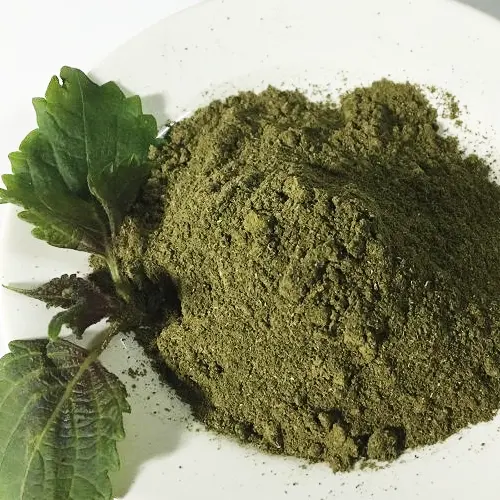 Dried Perilla Leaves For Spices and Herbal Tea / Perilla Powder Extract OEM Bag Custom Packing