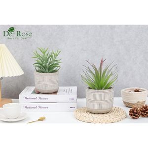Set di 2 Piante Succulente Artificiali in Vaso Stile Boho per Casa, Stanza, Bagno, Camera da Letto o Ufficio - Product Image 5