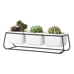 Minimalist Ceramic Succulent Planters Set of 3 <b>White</b> Square Indoor Desktop Flower Pots Glazed Finish - Product Image 1