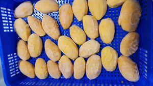 Tranches de mangue vietnamienne surgelées, emballées sous vide, procédé IQF, prêtes à l'emploi, sans sucre ajouté ni conservateurs / Mme Lima - Product Image 6