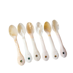 Exquisite Fish Flower Mother of Pearl Spoon Long Handle <b>Mirror</b> Polish Custom Logo Engraved Luxury Dining Set Storage - Product Image 1
