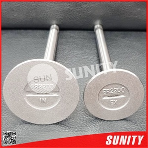 ชุดวาล์ว TAIWAN SUNITY ER2200 ของแท้ OEM 14311-1311-1 หมายเลขอะไหล่ 13411-1312-1 สำหรับเครื่องยนต์ดีเซลทางการเกษตร ชิ้นส่วนป้องกันการสึกหรอและป้องกันการกัดกร่อน - Product Image 3