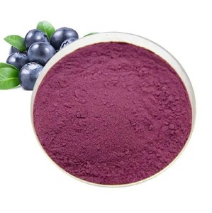 Polvo de Arándanos Liofilizado de Grado Alimenticio al por Mayor para Smoothies, Batidos y Bebidas Saludables - Product Image 4