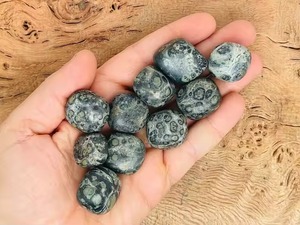 Piedra Natural de Jaspe Kambaba Pulida, Jaspe Verde Estromolita, Cristal Curativo, Venta al por Mayor - Product Image 3