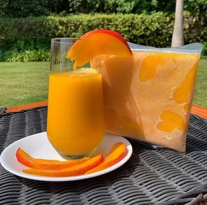Puré de Mango Congelado al por Mayor – Puré de Mango de Alta Calidad para la Elaboración de Bebidas - Product Image 6