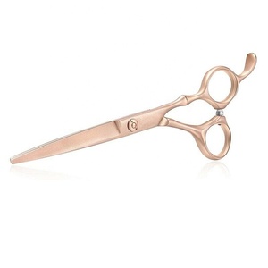 Tijeras de corte de pelo de acero inoxidable para peluquero profesional con mango dorado, herramienta de belleza de hoja Roma recta afilada - Product Image 2