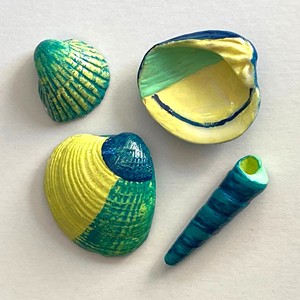 Conchas marinas pintadas a mano, pintura natural, set de manualidades con conchas marinas, arte de conchas marinas coloridas de la más alta calidad - Product Image 1