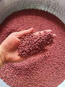 Fournisseur de graines d'annatto Prix compétitif Qualité supérieure pour les supermarchés et les chaînes de distribution - Product Image 2