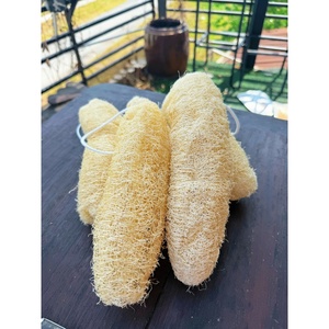 ฟองน้ำใยบวบธรรมชาติอบแห้งสำหรับอาบน้ำ ขัดผิว ขจัดเซลล์ผิวที่ตายแล้ว ฟองน้ำใยบวบจากเวียดนาม ขายส่ง - Product Image 1