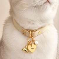 Pendentif d'identification personnalisé pour chien gravé au laser avec nom et breloque perle, pour coffret cadeau boutique et ensemble de fêtes